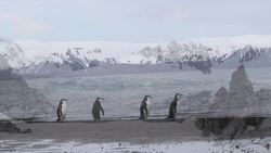 Antarctica, Antarctic Peninsula - Gonzales Videla Base Instructional Video