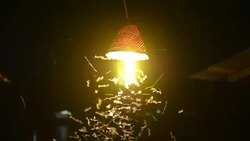 Close-up of an old street lamp with insects at night Stock Footage