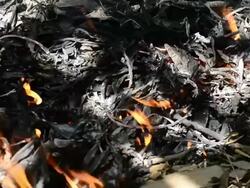 close up fire burning in forest Stock Footage