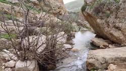 West Bank, Wadi Kelt Haritun ancient monastery Stock Footage
