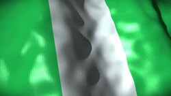 Nigeria Flag waving, looping Stock Footage