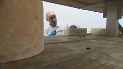 Blue Cheese Maker News Clip