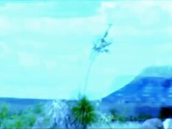 HD 1080i Train in West Texas Stock Footage