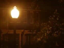 Wind and rain lash tree in front of street lamp Stock Footage