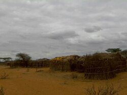 Straw huts in small rural village Stock Footage
