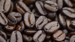 rotation: raw materials of coffee beans Stock Footage
