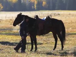 Cowboy leading his horse Stock Footage