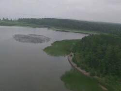 WS POV AERIAL Forest near mississippi river  / Minneapolis, Minnesota, United States  Stock Footage