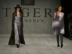 Tiger Of Sweden: Stockholm Fashion Week A/W 2012 Stock Footage