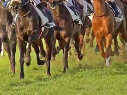 MS SLO MO PAN Gallop horse racing at Caen in Normandy / Argentan, Normandy, France Stock Footage