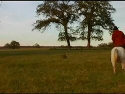 Cowboy Galloping on White Horse Stock Footage