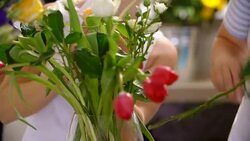 Florist arranging flowers in flower shop Stock Footage