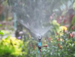 HD:Sprinkler. Stock Footage
