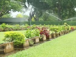 War cemetery Stock Footage