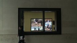 CLEAN : BBC to publish Pollard News Clip