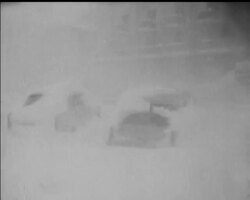 SNOW FOR CHRISTMAS News Clip