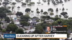 Waste Management CEO Sees Challenges in Harvey Clean-Up News Clip