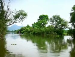 sailing on wetlands in the rain Stock Footage