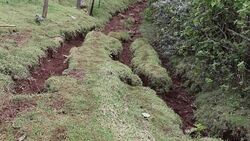 CLEAN : Kenyas climate refugees brace for El Nino News Clip