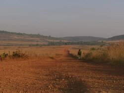 MS Woman walking in desert / Fouta-Djallon, Guinea Stock Footage