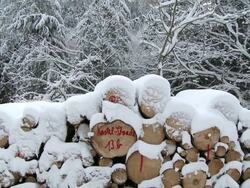 MS Wood log cover with snow layers in winter / Saarburg, Rhineland-Palatinate, Germany Stock Footage