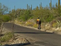 Bicyclist pedaling past many large Saguaro cactus in desert Stock Footage