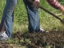 Farmer Stock Footage