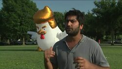 Inflatable chicken resembling Trump News Clip
