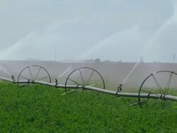 Water sprays from irrigation pipe in alfalfa field Stock Footage