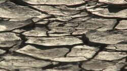 Cracked mud characterizes the Namib Desert in South Africa. Stock Footage