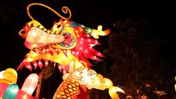 M/S  people walk in front of colorful lights. Stock Footage