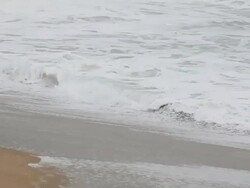 Ocean Waves - HD Video Stock Footage