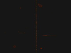 Scratch Film Fun splice C Stock Footage