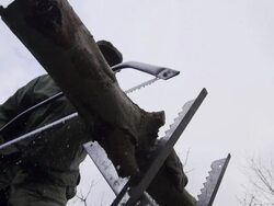 SLOW MOTION: Sawing Stock Footage