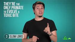 10 Cute Animals With Secretly Scary Behaviors Instructional Video