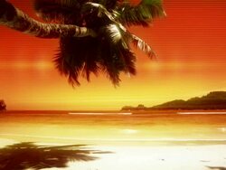 Heat tropical beach Stock Footage