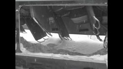 CAN455 FOURTEEN SWEDISH AND FINNISH TOURISTS ARE KILLED IN AVALANCHE NEAR SALZBURG Instructional Video