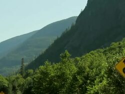 A big forest that made a mountain with hardwoods and conifer Stock Footage