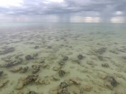 High Angle static - Rain falls from the sky over Shark Bay and stromatolites along the shoreline. / Australia Stock Footage