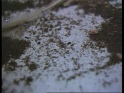 VENEZUELA: NATIONAL EPIDEMIC ALERT ANNOUNCED Instructional Video