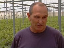 A profile of Europe's largest greenhouse farm ++ +CLIENT REPLAY+++ News Clip