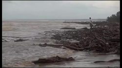 CLEAN: Residents clean up beaches after Hurricane Irene News Clip