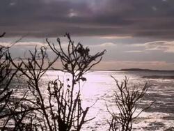 Maine Coastline Stock Footage