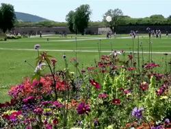 WS People roaming in national garden exhibition / Koblenz, Rhineland-Palatinate, Germany Stock Footage