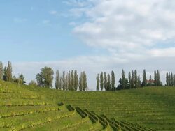 HD TIME-LAPSE: Cloudscape Over Vineyard Hill Stock Footage