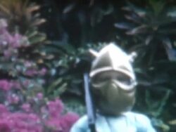 Halloween Costume Stock Footage