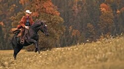 SLO MO DS Female rancher riding galloping horse uphill Stock Footage