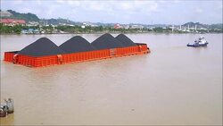 CLEAN : Coal rush ravages Borneo News Clip