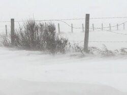 Winter snow storm in the prairies Stock Footage
