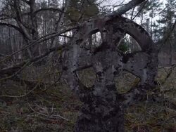 Abandoned cemetery Stock Footage